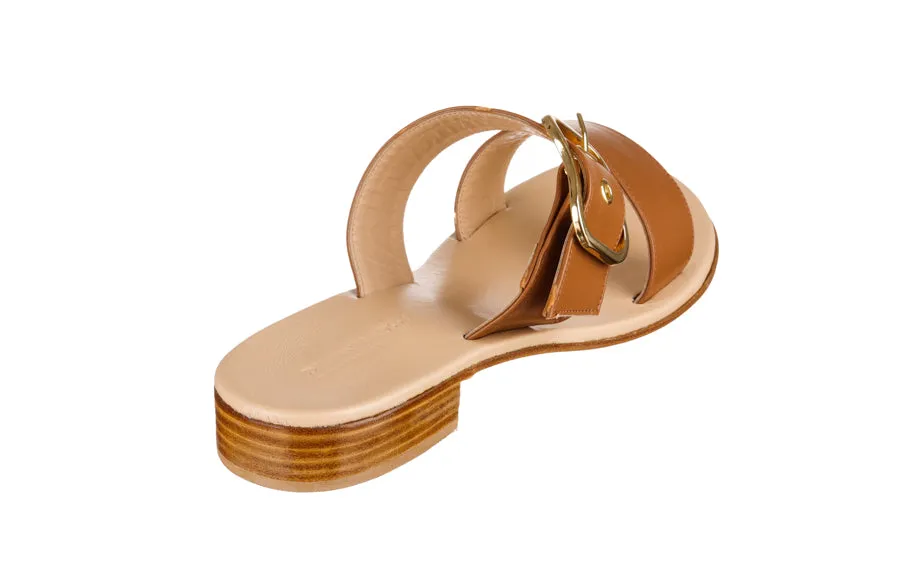 Dr Twobands Tan