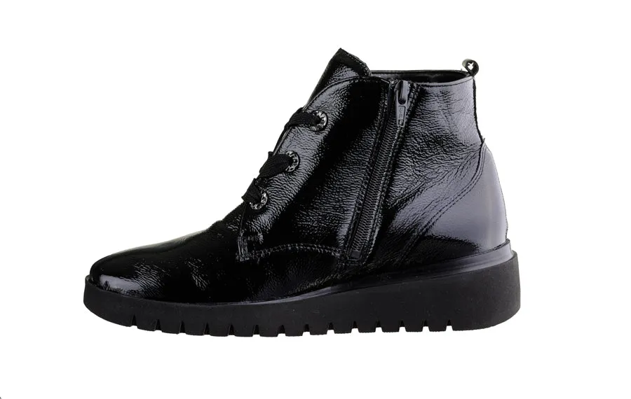 Wal Vanda Black