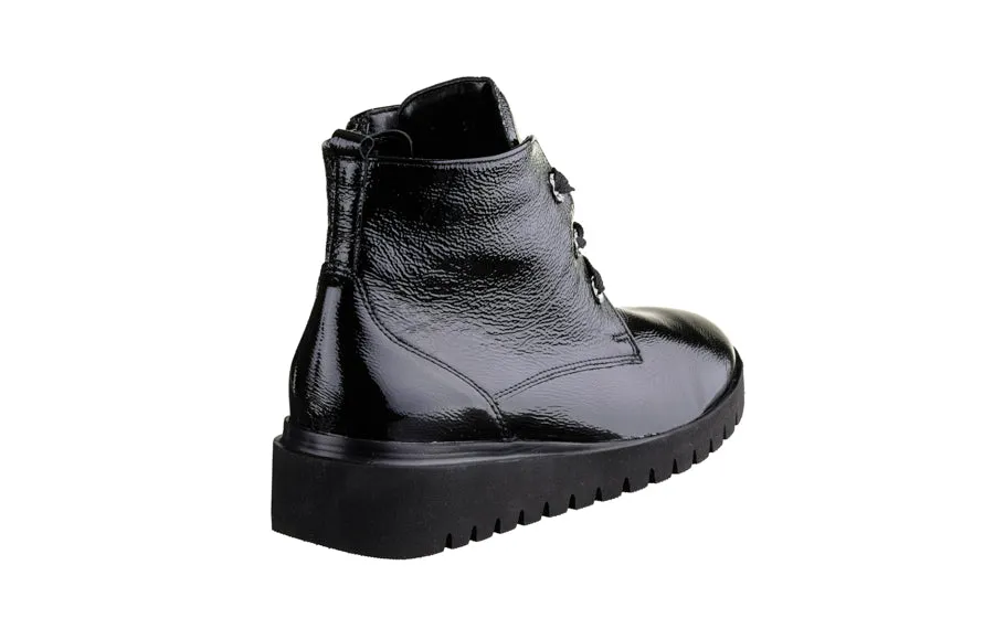 Wal Vanda Black